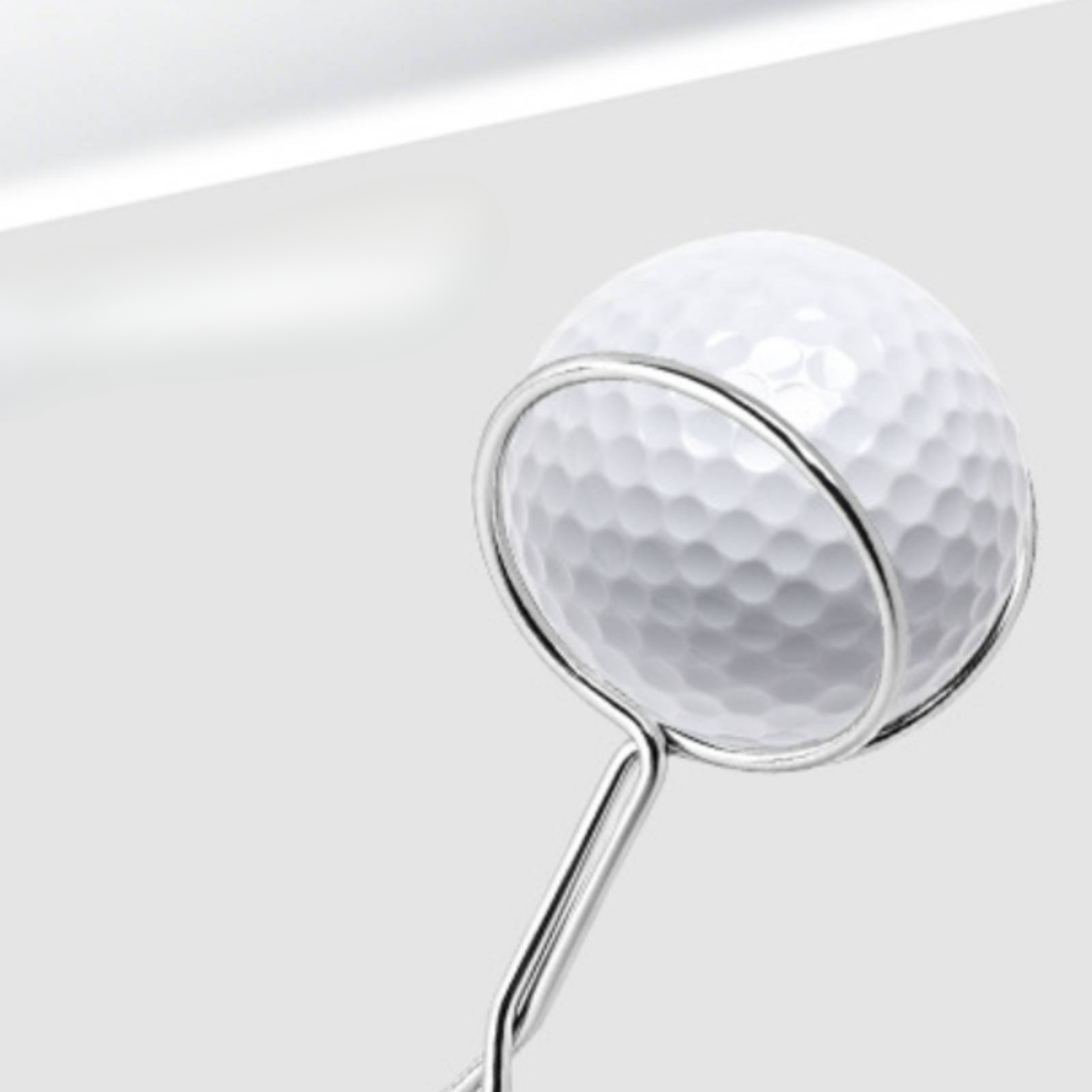 Stainless Steel Golf Ball Retr - Golf Clubs 评论和价格