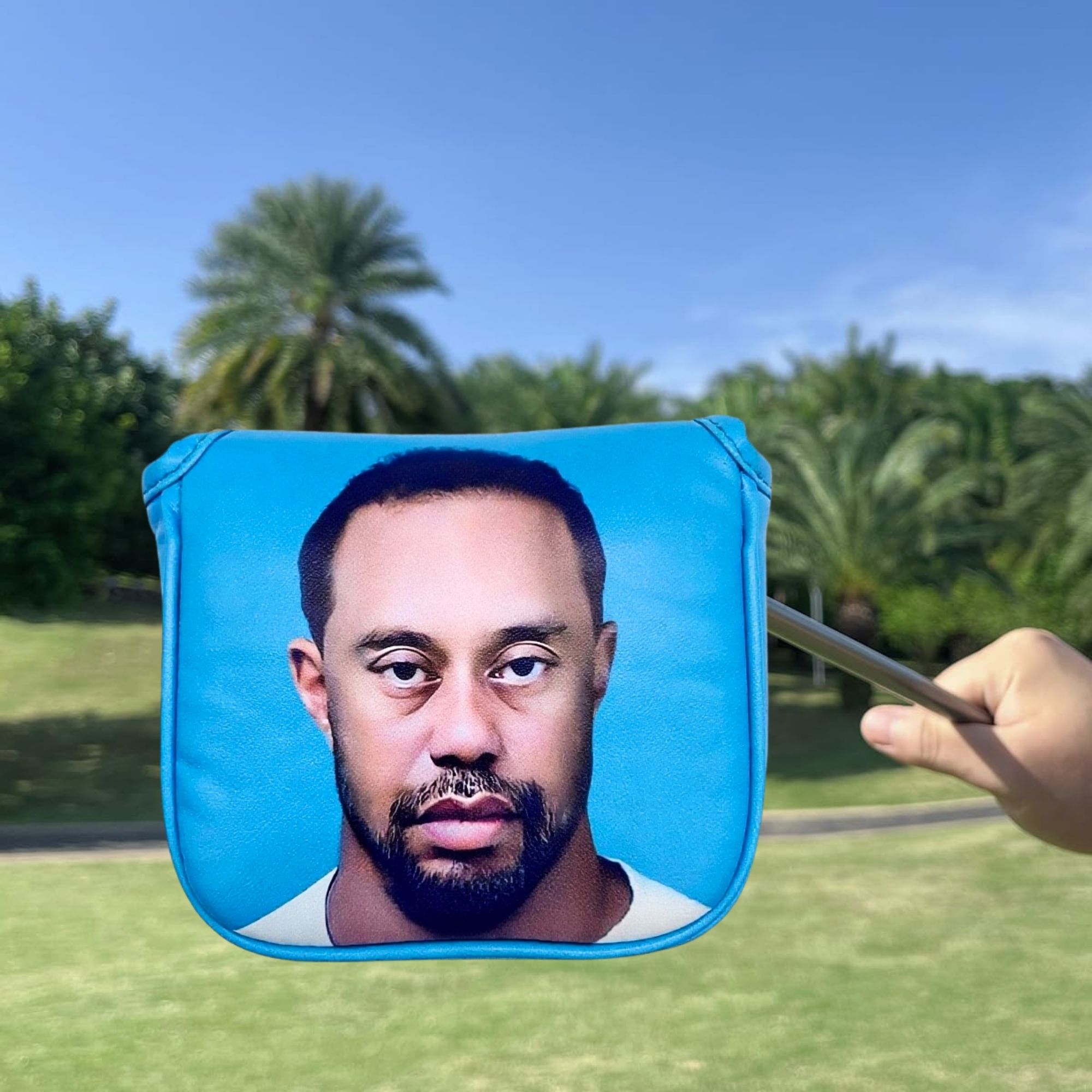 Funny Golf Mallet Putter Head  - Golf Putter 评论和价格